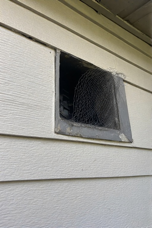 Dryer Vent Cleaning portrait